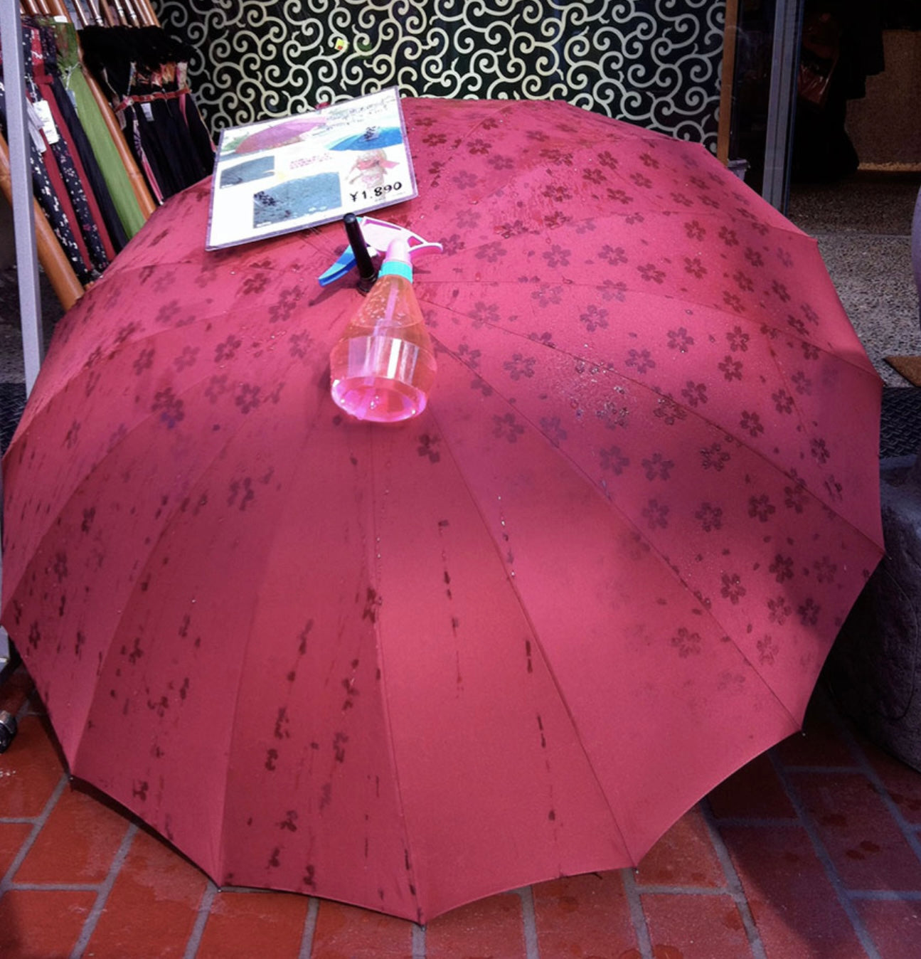 Umbrella in various colours has pattern when wet