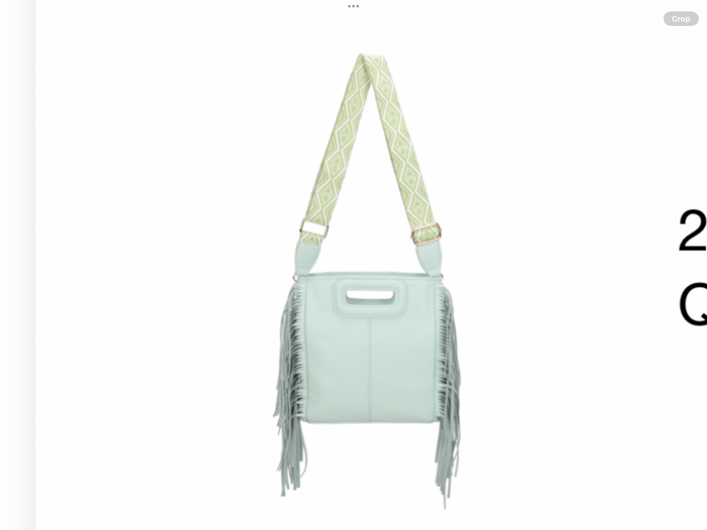 Fringe crossbody bag