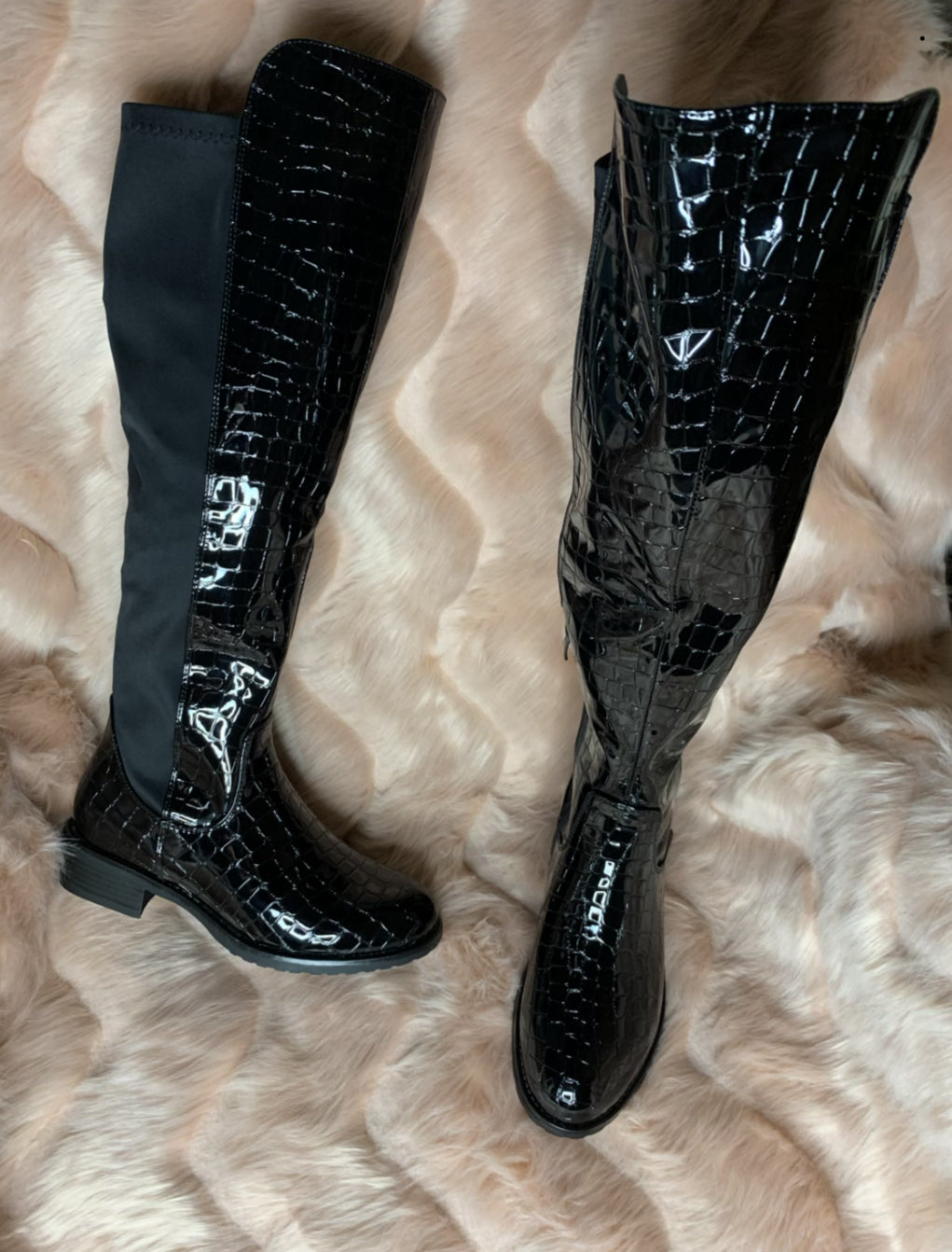 Super shine croc knee high boots